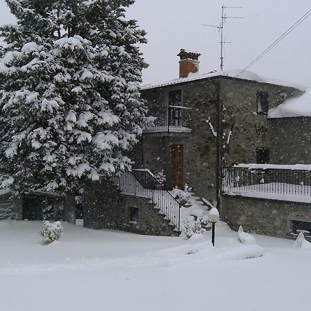 Agriturismo La Casina Villa Caprese Michelangelo Esterno foto