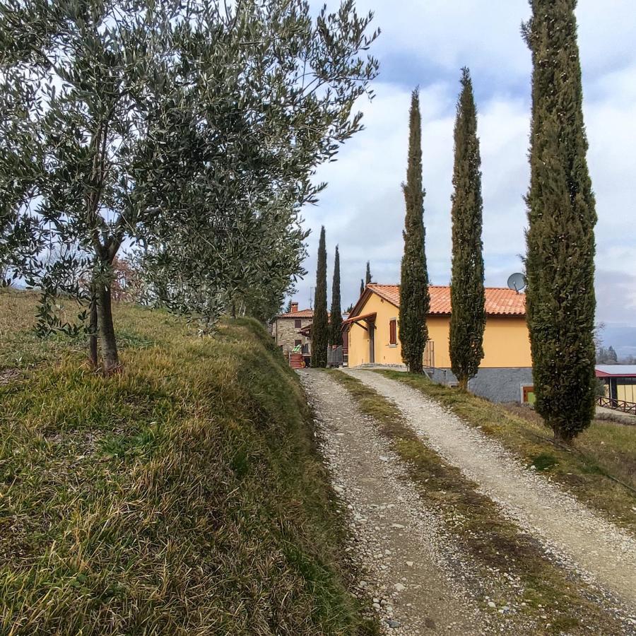 Agriturismo La Casina Villa Caprese Michelangelo Esterno foto