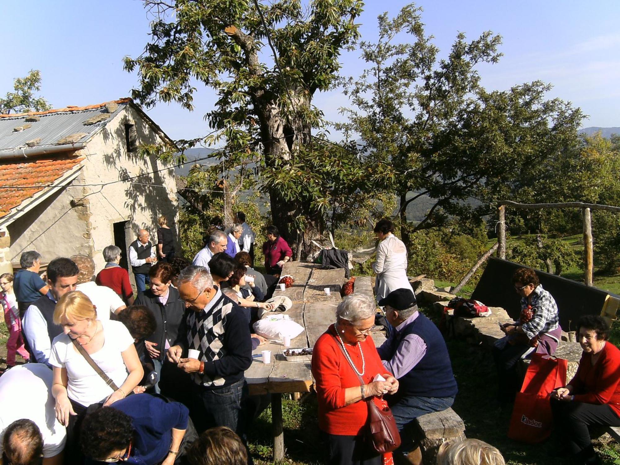 Agriturismo La Casina Villa Caprese Michelangelo Esterno foto